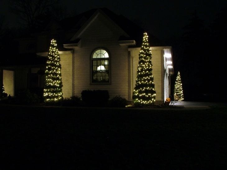 christmas_light_installers_twins