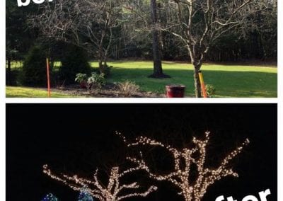 picture before and after of trees branched wrapped with lights for the holidays